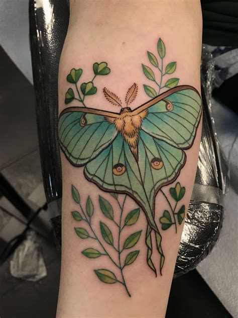 detailed moth tattoo|The Symbolic Meaning Of Moth Tattoos, Detailed By。